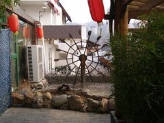 -慢丽江·云南野生菌土鸡锅(付家庄店)