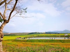 -光明小镇欢乐田园