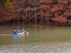 -上海海湾国家森林公园
