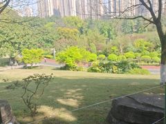 -龙头寺公园