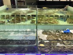 水产区-多迷烫菜广场(水心大厦店)