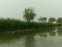 android_upload_pic-白洋淀景区