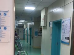 -北京观赏动物医院·24小时大型综合·猫专科·异宠专科
