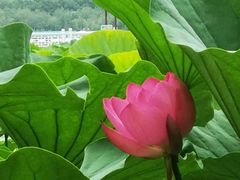 -长春市南湖公园