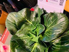 -巴蜀大将火锅(春熙店)