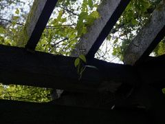 -杭州植物园