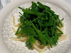 茭白拌辣木苗-新荣记(建国门外大街店)