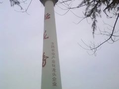 -龟山风景区-龟山电视塔