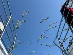 -海驴岛(荣成市)