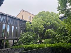 -上海崇明金茂凯悦酒店