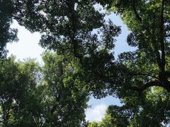 -晓港公园