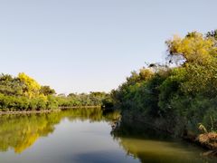 -大湾区中央湿地公园