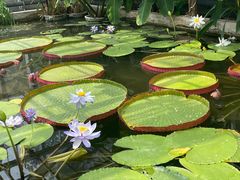 -国家植物园南园