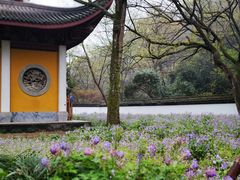 -灵隐飞来峰景区