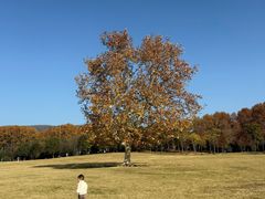 -钟山体育运动公园
