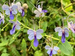 -华南国家植物园-售票处