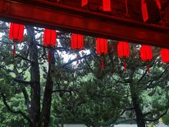 -秋霞圃