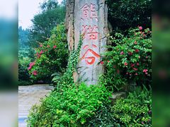 景点-成都大熊猫繁育研究基地