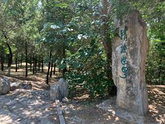 -云岗森林公园