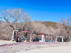 -北京西山国家森林公园