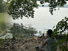 -海珠湖公园
