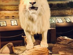 -陕西自然博物馆