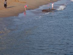 -演武大桥观景平台