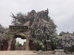 -大槐树寻根祭祖园