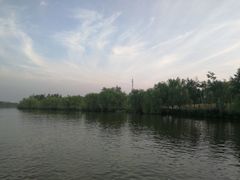 -蒲河岛湿地公园