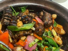 -侨美·唐荔园·40年地道粤菜