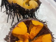 加拿大紫球海胆-HIHE Bistro·Oyster Bar(华熙live店)