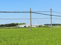 -莲花岛景区