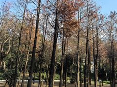 -晓港公园