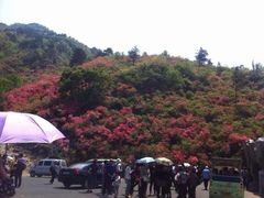 -木兰云雾山