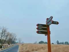 -良渚古城遗址公园