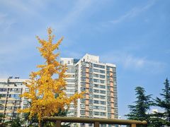 -木塔寺遗址生态公园