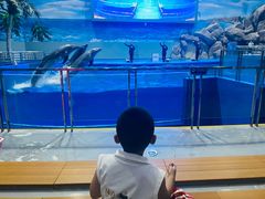 -福州罗源湾海洋世界旅游区