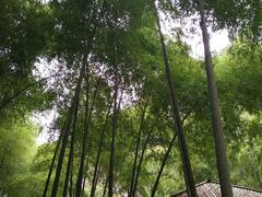 -南尖岩