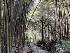 -会稽山峡洞漂流-上青古道