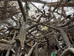 -长鹿旅游休博园