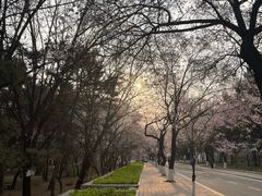 -吉林大学(南岭校区)