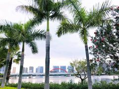 -五缘湾湿地公园