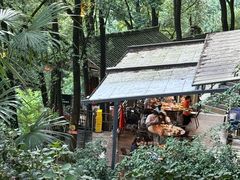 -巴倒烫陆派火锅山庄(南山总店)