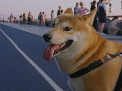 -钱塘江