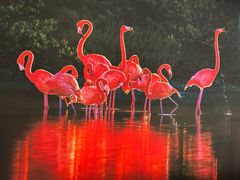 -罗红摄影艺术馆