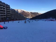 -密苑云顶乐园(云顶滑雪场)
