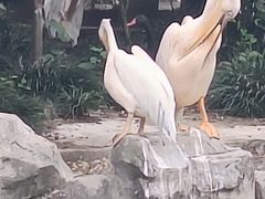 -成都动物园