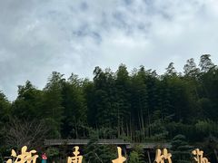-宁波浙东大竹海景区