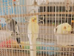 -潇湘·永州会馆(百子湾店)