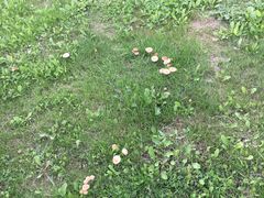 -萨拉漫饮食(北京中路店)